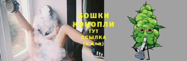 прущая мука Богородицк