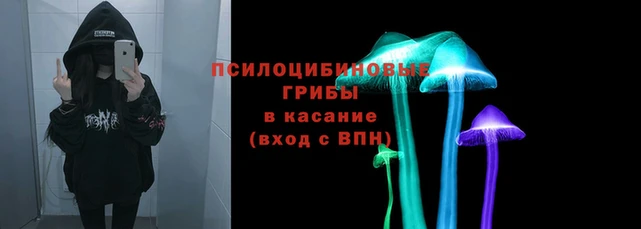 круглые Богданович