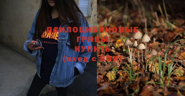 прущая мука Богородицк